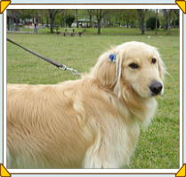 ���@�����@�����J�@���ˁ@��