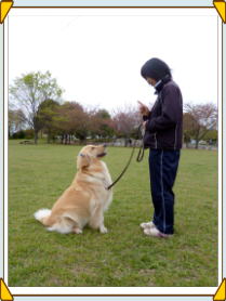 ���@�����@�����J�@���ˁ@�s��