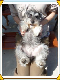 ���@�����@�����J�@���ˁ@��