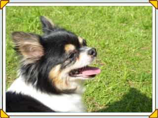 ���@�����@�����J�@���ˁ@��